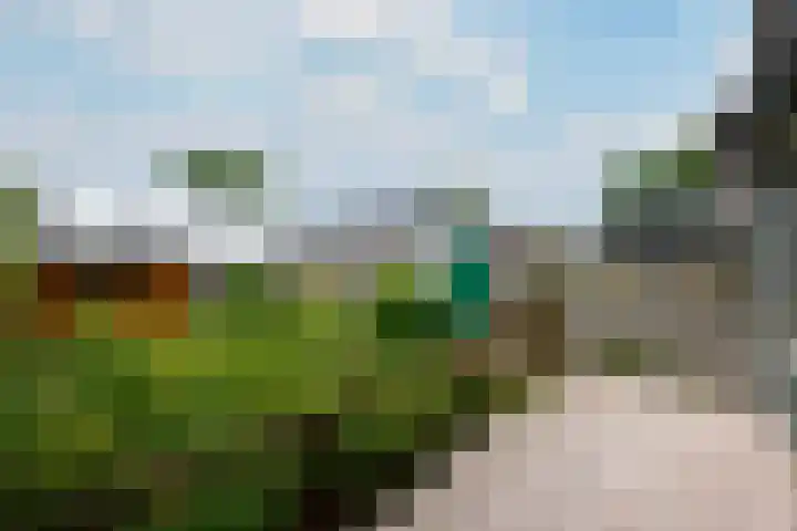 Oranje Nassaulaan 3 Wolvega thumbnail 36