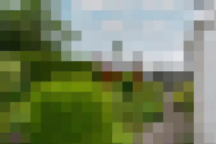 Oranje Nassaulaan 3 Wolvega thumbnail 37