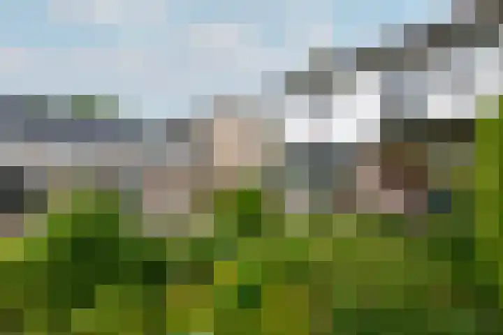 Oranje Nassaulaan 3 Wolvega thumbnail 38