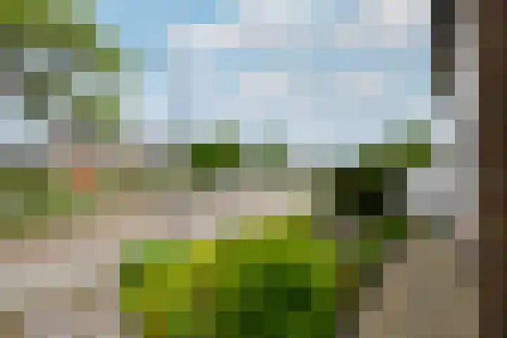 Oranje Nassaulaan 3 Wolvega thumbnail 39