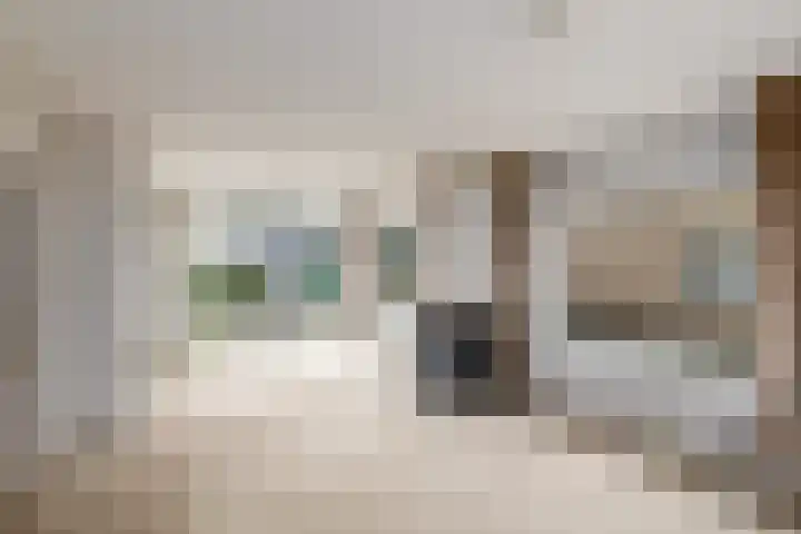 Oranje Nassaulaan 3 Wolvega thumbnail 4