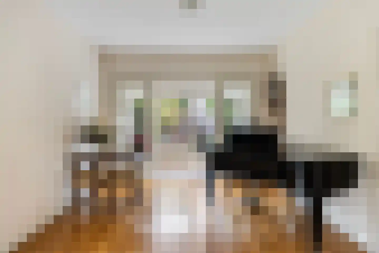 Oranje Nassaulaan 3 Zwolle thumbnail 13