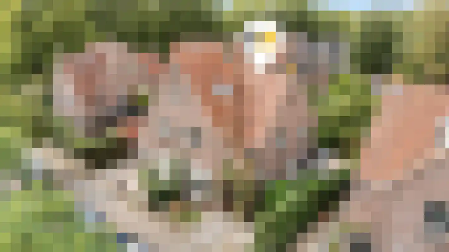 Oranje Nassaulaan 3 Zwolle foto 3
