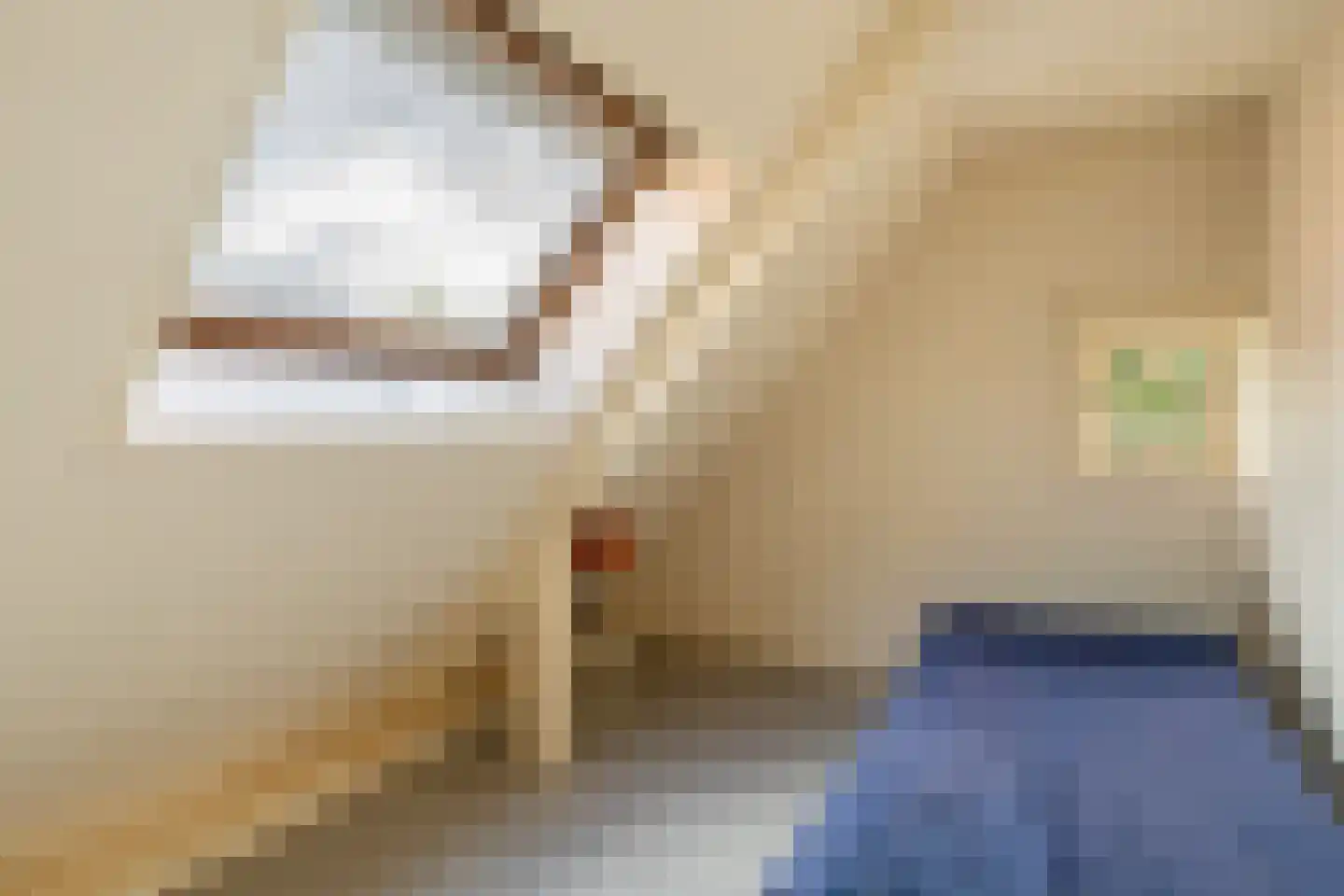 Oranje Nassaulaan 3 Zwolle thumbnail 30