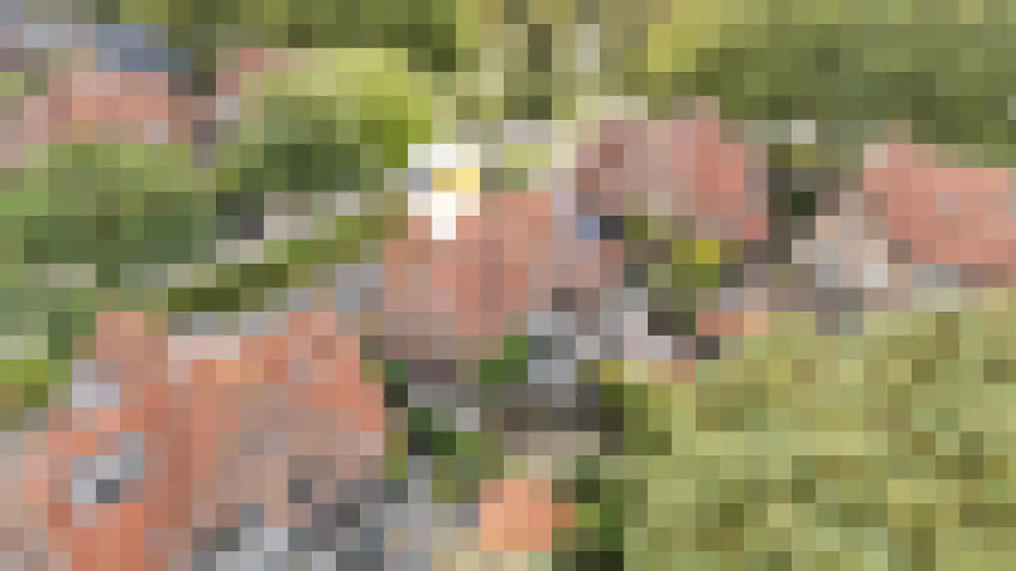 Oranje Nassaulaan 3 Zwolle thumbnail 32