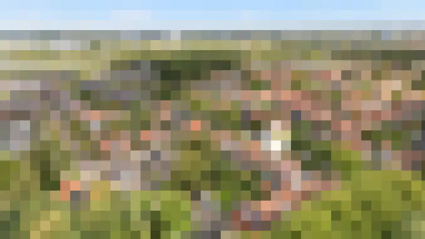 Oranje Nassaulaan 3 Zwolle thumbnail 4