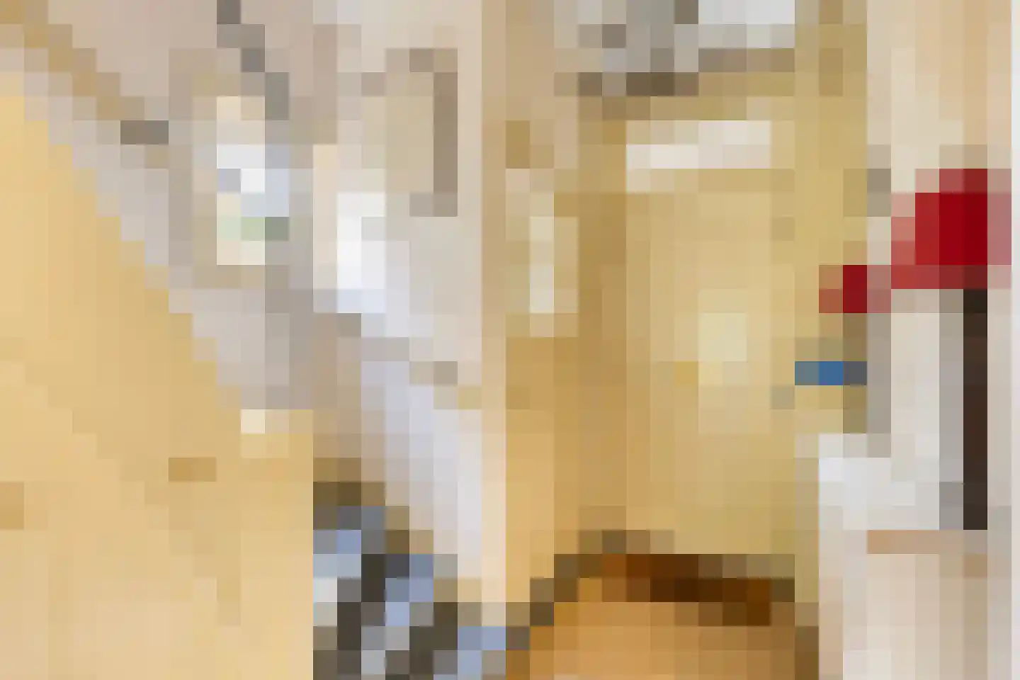 Oranje Nassaulaan 3 Zwolle thumbnail 7