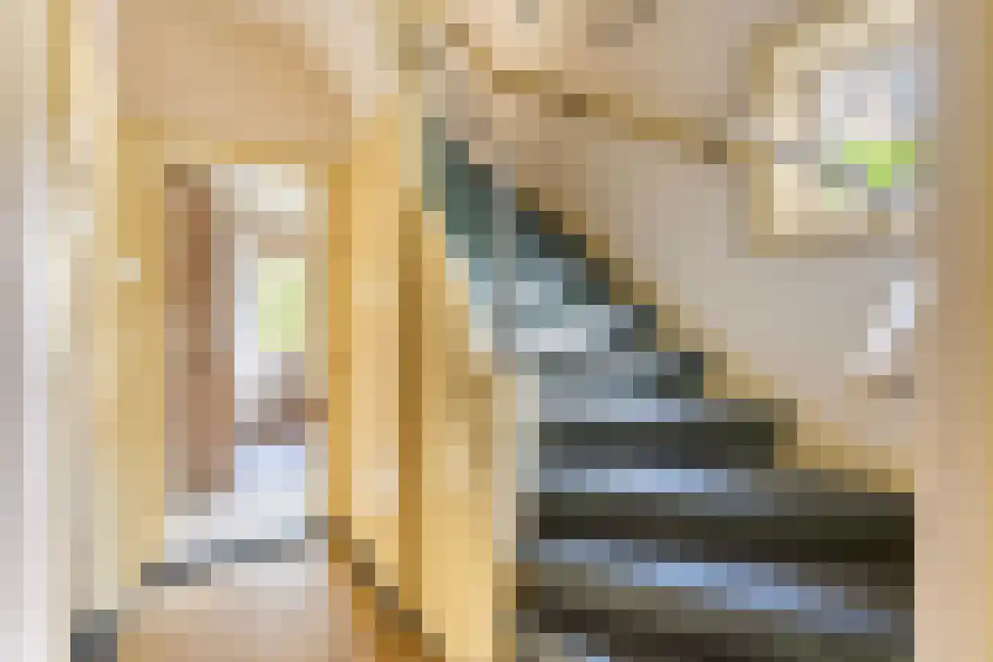 Oranje Nassaulaan 3 Zwolle thumbnail 8