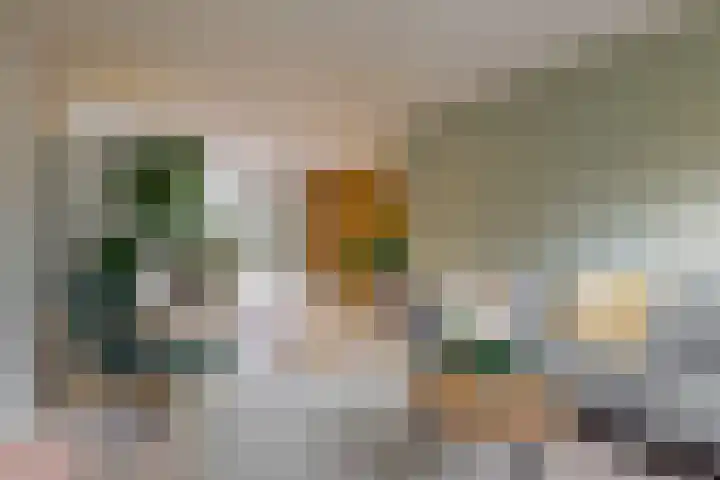 Oranje Nassaulaan 31 Bilthoven thumbnail 11