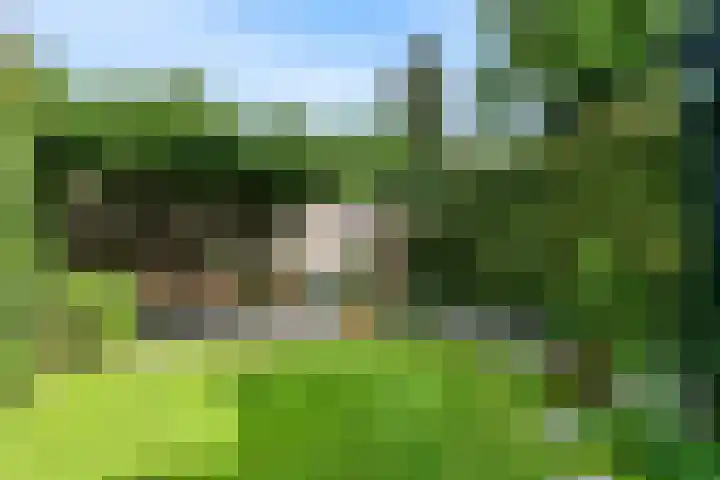 Oranje Nassaulaan 31 Bilthoven thumbnail 31