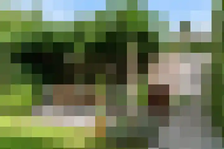 Oranje Nassaulaan 31 Bilthoven thumbnail 32
