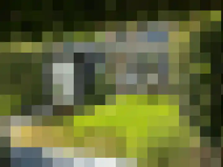 Oranje Nassaulaan 31 Bilthoven thumbnail 33