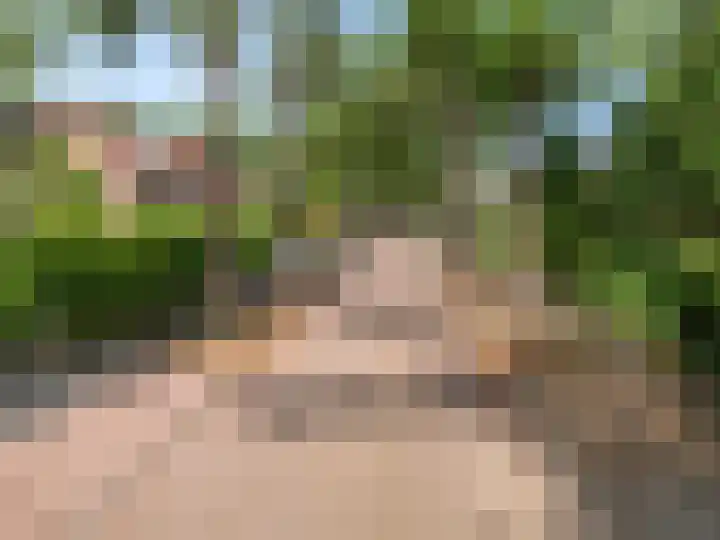 Oranje Nassaulaan 31 Bilthoven thumbnail 37
