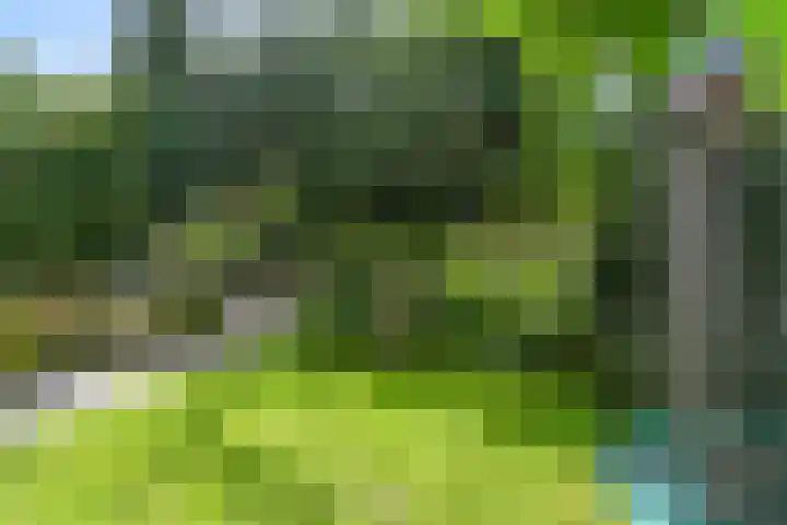Oranje Nassaulaan 31 Bilthoven thumbnail 6