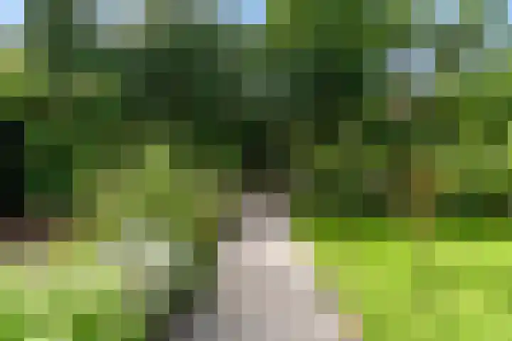 Oranje Nassaulaan 31 Bilthoven thumbnail 7