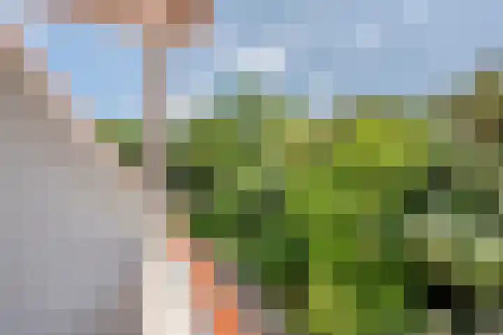 Oranje Nassaulaan 31 Warmond thumbnail 35