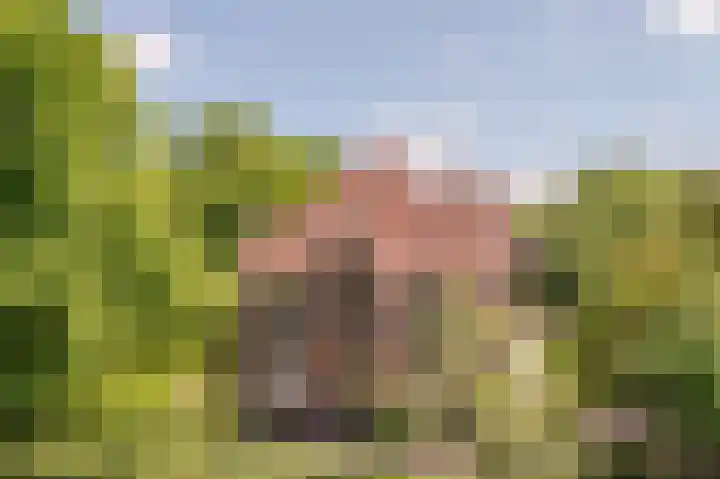 Oranje Nassaulaan 31 Warmond thumbnail 4