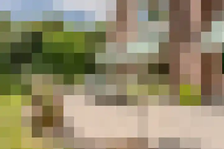 Oranje Nassaulaan 31 Warmond thumbnail 47
