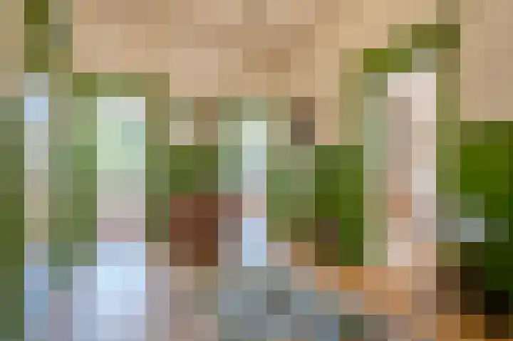 Oranje Nassaulaan 31 Warmond thumbnail 9