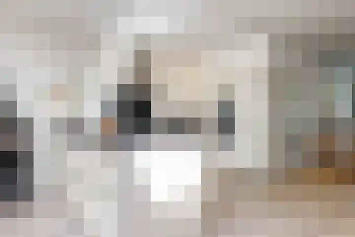 Oranje Nassaulaan 34 Overveen thumbnail 16