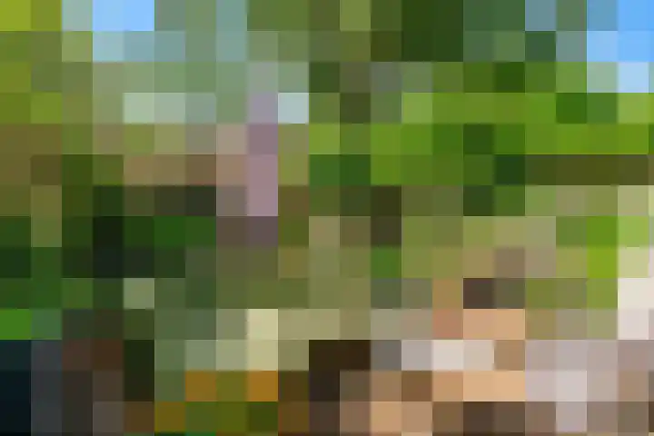 Oranje Nassaulaan 34 Overveen thumbnail 19