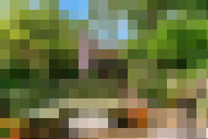 Oranje Nassaulaan 34 Overveen thumbnail 20