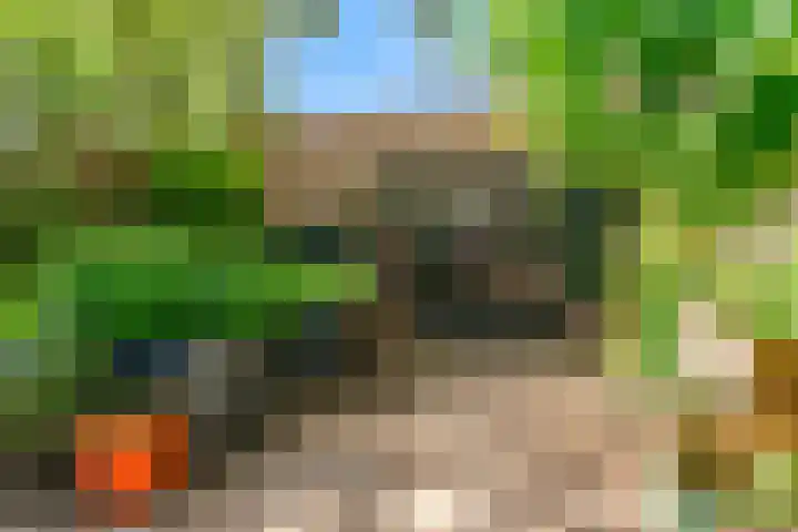 Oranje Nassaulaan 34 Overveen thumbnail 22