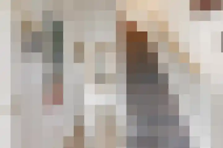 Oranje Nassaulaan 34 Overveen thumbnail 23