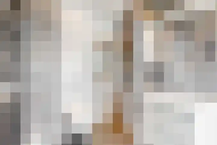 Oranje Nassaulaan 34 Overveen thumbnail 33