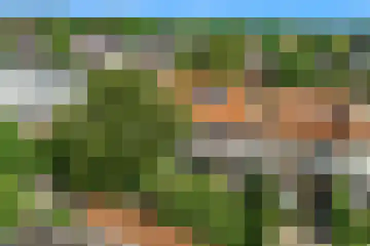 Oranje Nassaulaan 34 Overveen thumbnail 37