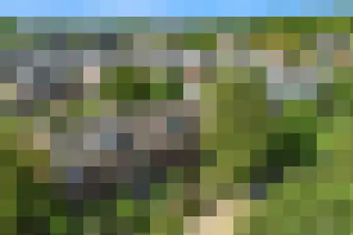 Oranje Nassaulaan 34 Overveen thumbnail 38