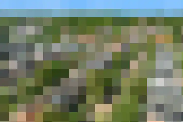 Oranje Nassaulaan 34 Overveen thumbnail 39
