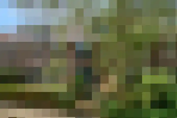 Oranje Nassaulaan 34 Overveen thumbnail 4