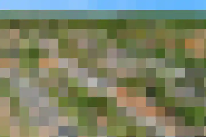 Oranje Nassaulaan 34 Overveen thumbnail 40