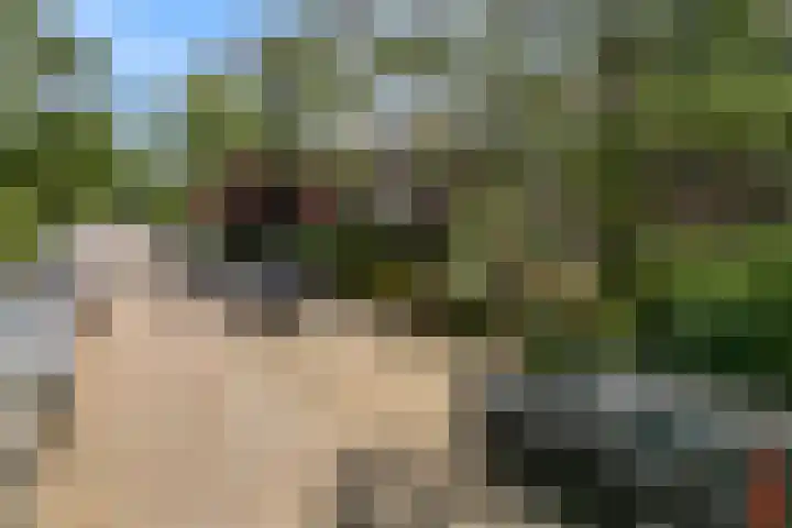 Oranje Nassaulaan 34 Overveen thumbnail 41