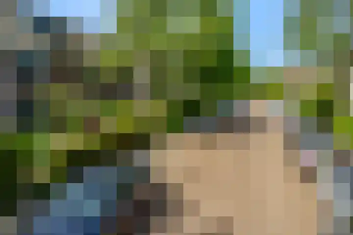 Oranje Nassaulaan 34 Overveen thumbnail 42