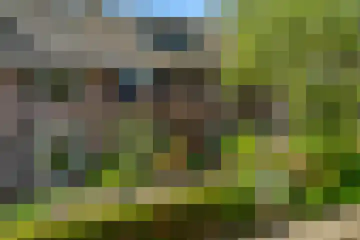 Oranje Nassaulaan 34 Overveen thumbnail 43