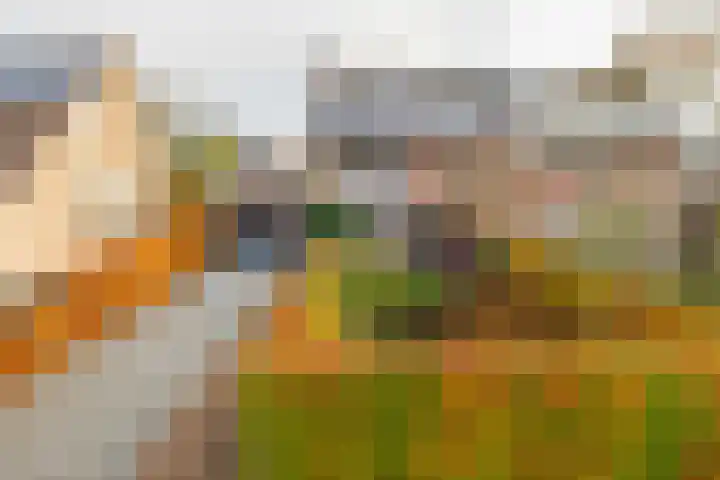 Oranje-Nassaulaan 35 Sint-Oedenrode thumbnail 31