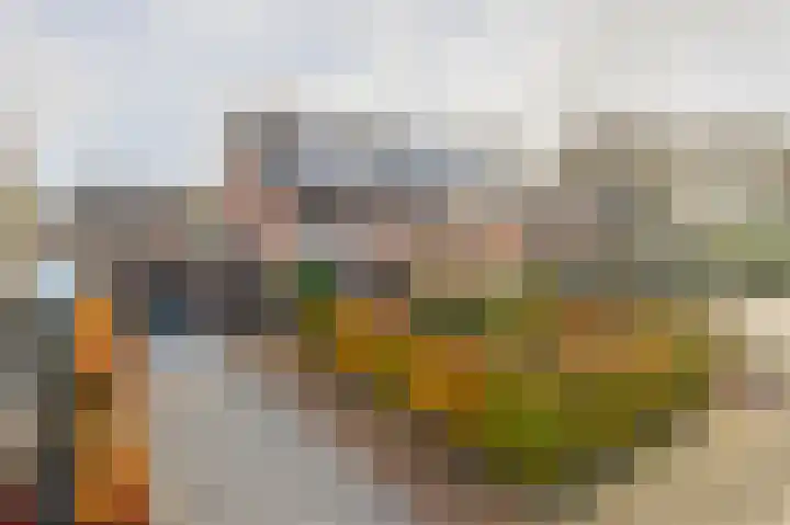 Oranje-Nassaulaan 35 Sint-Oedenrode thumbnail 32