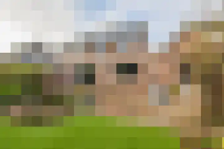 Oranje-Nassaulaan 35 Sint-Oedenrode thumbnail 36