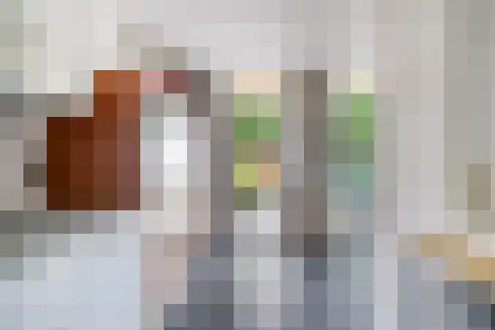 Oranje-Nassaulaan 4 Gouda thumbnail 12