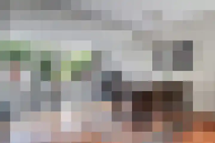 Oranje-Nassaulaan 4 Gouda thumbnail 7