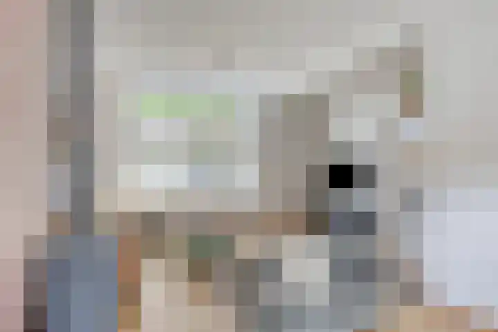Oranje Nassaulaan 4 Maarheeze thumbnail 13