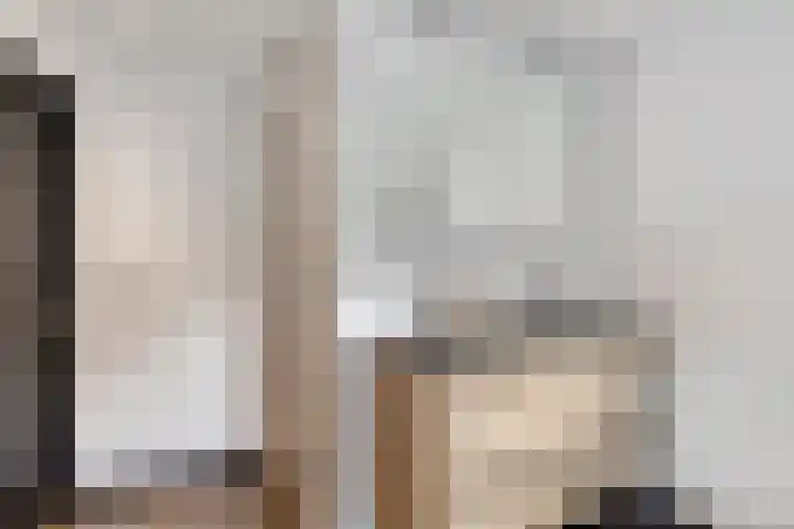 Oranje Nassaulaan 4 Maarheeze thumbnail 32
