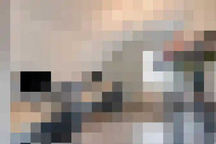 Oranje Nassaulaan 4 Maarheeze thumbnail 35