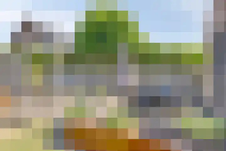 Oranje Nassaulaan 4 Maarheeze thumbnail 38