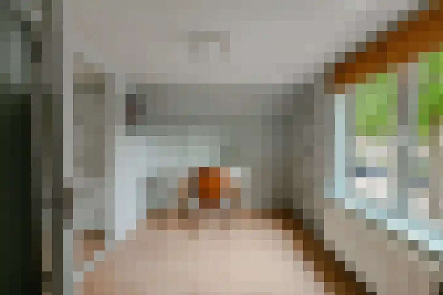Oranje Nassaulaan 40 Leerdam thumbnail 28