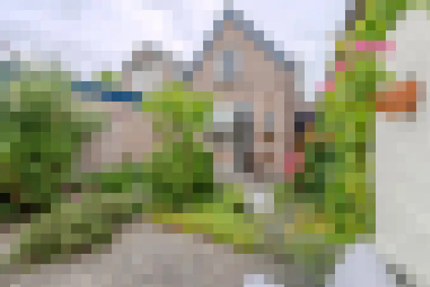 Oranje Nassaulaan 40 Leerdam thumbnail 31