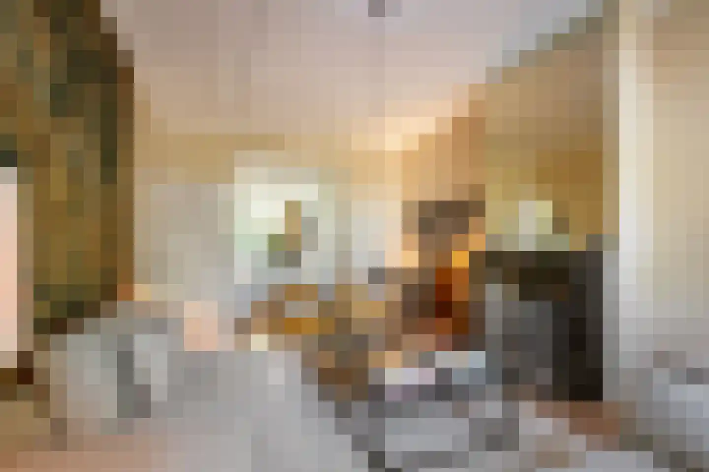 Oranje Nassaulaan 41 Amsterdam thumbnail 10