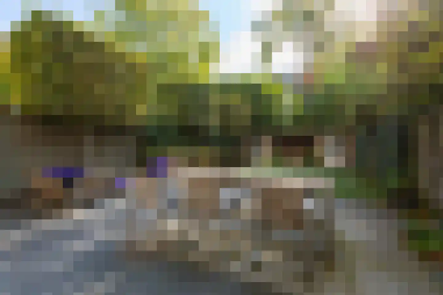 Oranje Nassaulaan 41 Amsterdam thumbnail 24